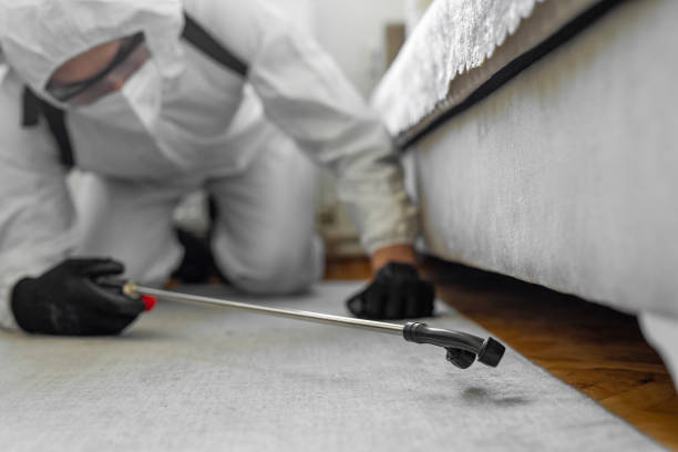 Professional Termite Control technician working in Kingston, RI