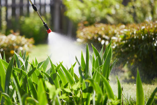24/7 Emergency Termite Control experts in Kingston, RI