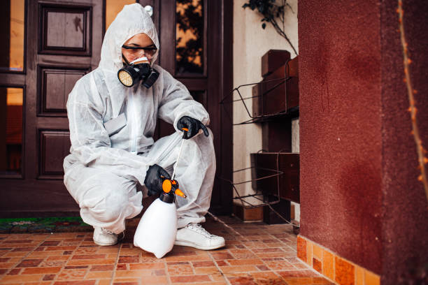 Reliable Termite Control contractor in Kingston, RI by Nex Pest Control